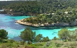 Building Plot in Portals Vells - View