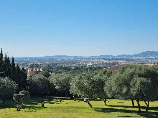Finca in Son Gual - WhatsApp Image 2022-02-01 at 10.43.12 AM52