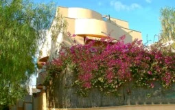Garden Apartment in Son Ferrer - Building