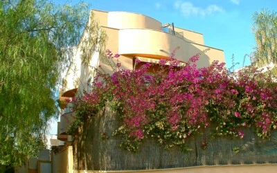 Garden Apartment in Son Ferrer - Building