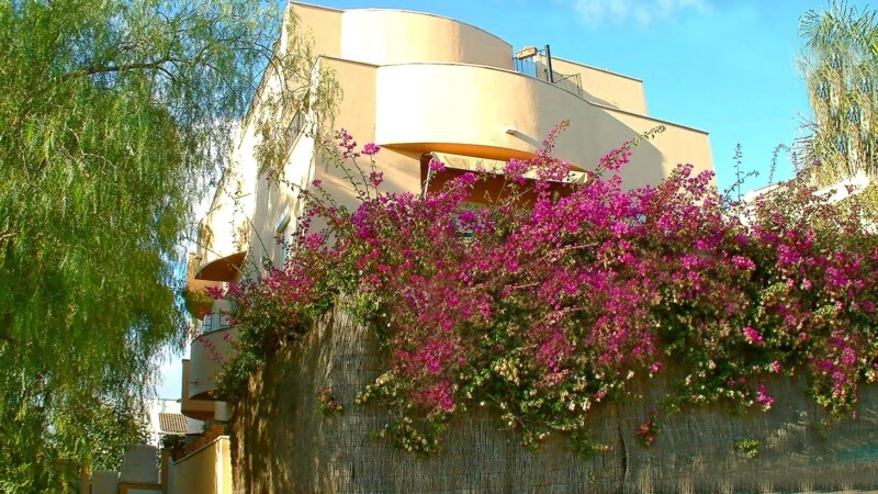 Garden Apartment in Son Ferrer - Building
