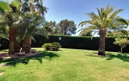 Villa in Sol de Mallorca - Garden