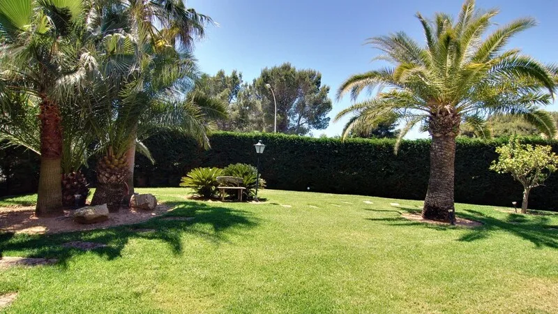 Villa in Sol de Mallorca - Garden