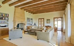 Villa in Camp de Mar - Living room with fireplace