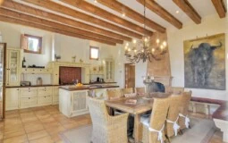 Villa in Camp de Mar - Kitchen