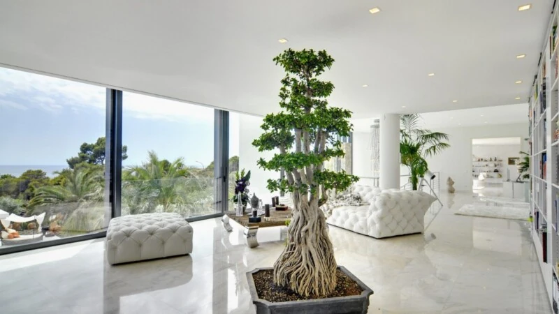 Villa in Nova Santa Ponsa - Living space