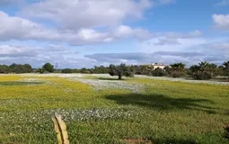 Finca in Santa Margalida - 130922c