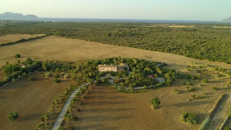 Finca in Santa Margalida - DJI_0030c