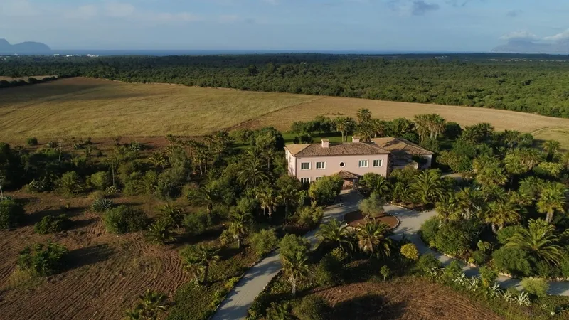 Finca in Santa Margalida - DJI_0084c