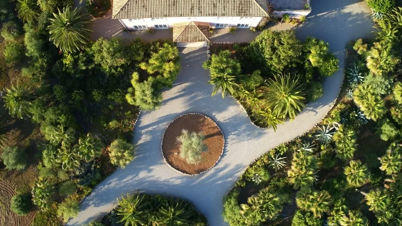 Finca in Santa Margalida - DJI_0111c