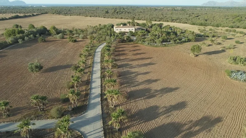 Finca in Santa Margalida - DJI_0114b2