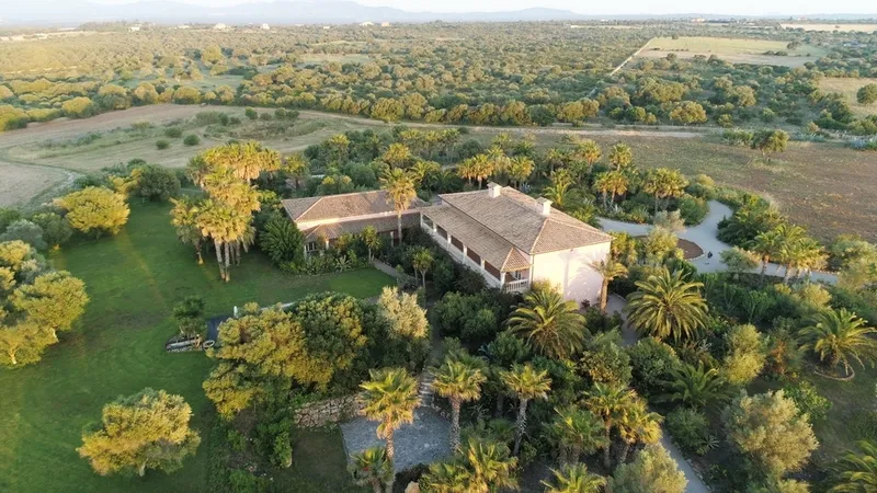 Finca in Santa Margalida - DJI_0138b