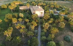 Finca in Santa Margalida - DJI_0139c