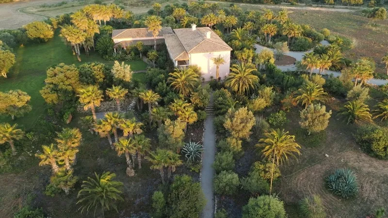 Finca in Santa Margalida - DJI_0139c