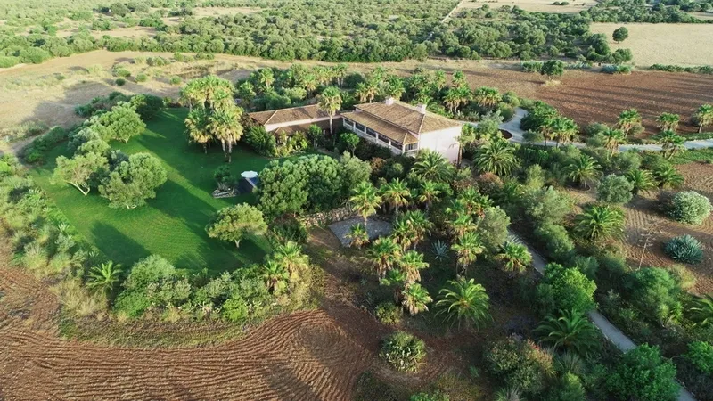 Finca in Santa Margalida - DJI_0405c