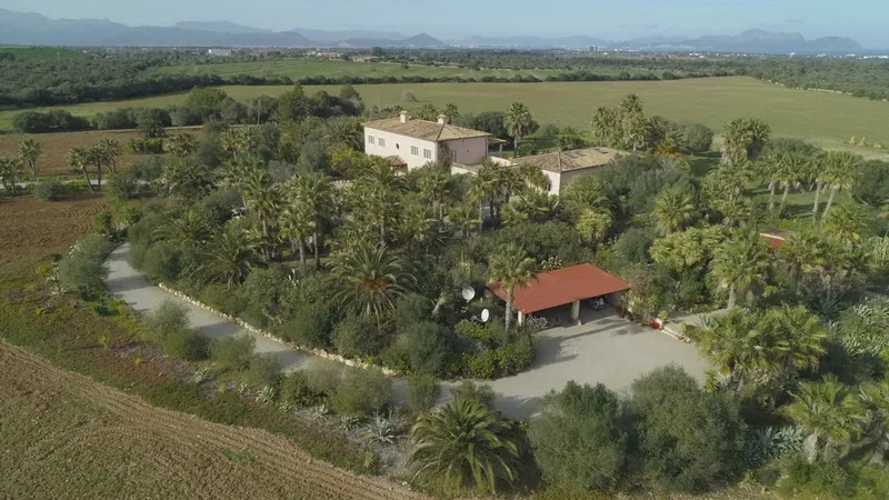 Finca in Santa Margalida - DJI_0846c2