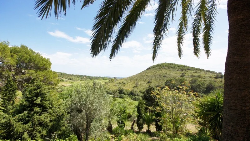 Finca in Manacor - Stunning open views