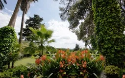 Finca in Manacor - yard