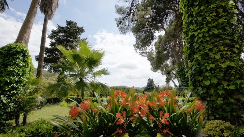 Finca in Manacor - yard