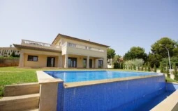 Detached Villa in Nova Santa Ponsa - DSC05405