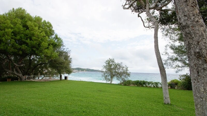 Villa in Mallorca - Back yard - sea i