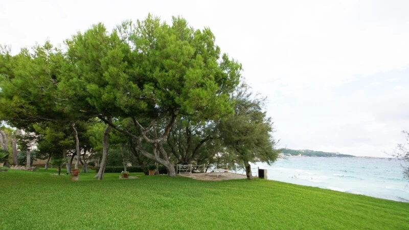 Villa in Mallorca - Back yard - sea