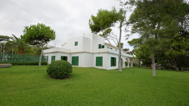 Villa in Mallorca - Back yard ii