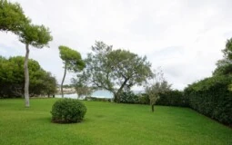 Villa in Mallorca - Back yard iii