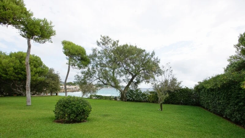 Villa in Mallorca - Back yard iii