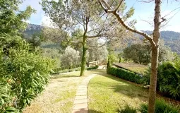 Finca in Esporles - Garden