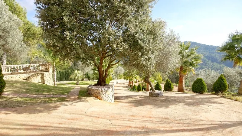 Finca in Esporles - Entrance