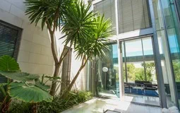 Villa in Sol de Mallorca - Courtyard
