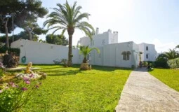 Villa in Cala d´Or - Villa - Beautiful Garden