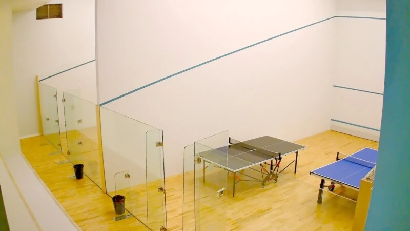 Garden Apartment in Port Adriano - Squash court & Table Tennis
