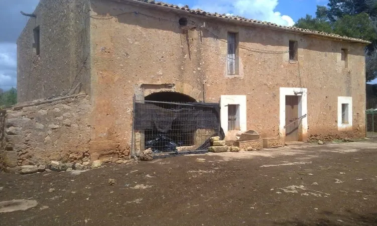 Finca in Sencelles - Finca