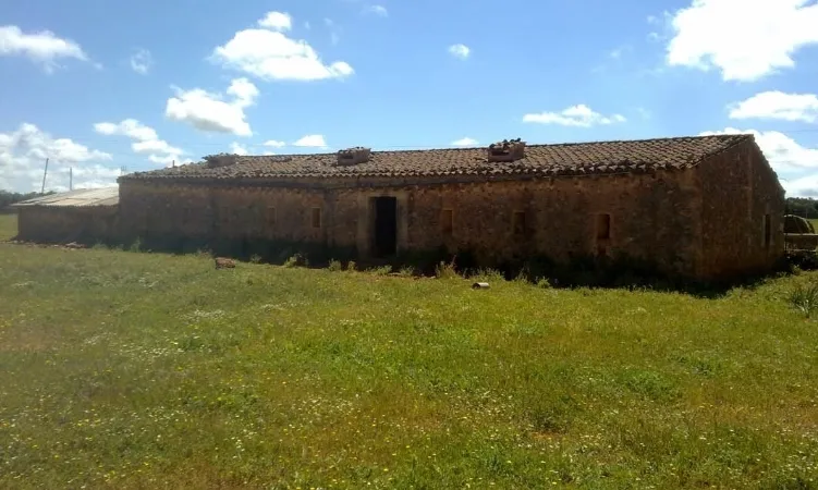 Finca in Sencelles - Finca