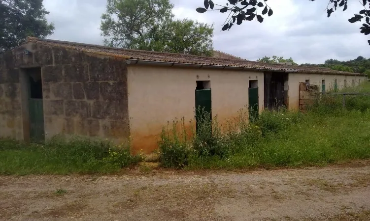 Finca in Sencelles - Vaqueria
