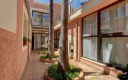 Villa in Santa Ponsa - Interior patio with palm trees