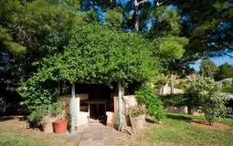 Penthouse in Bendinat - Garden area