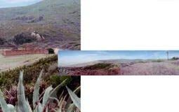 Building Plot in Marbella - 9