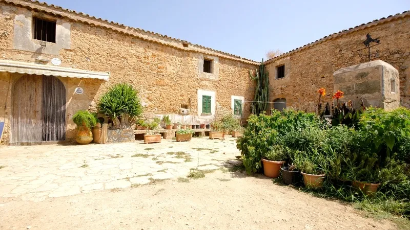Finca in Palma de Mallorca - External
