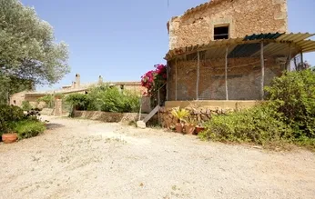 Finca in Palma de Mallorca - External
