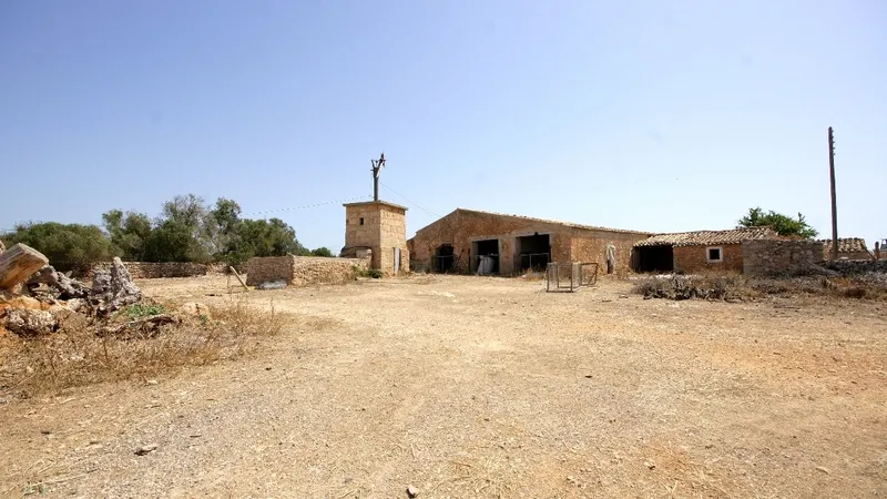 Finca in Palma de Mallorca - Animal stables