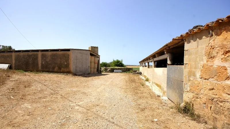 Finca in Palma de Mallorca - Warehouse