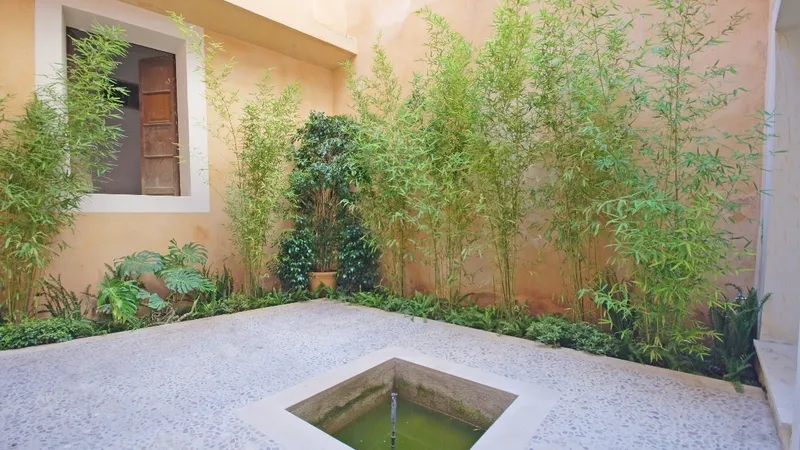 Apartment Duplex in Palma de Mallorca - Patio