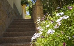 Villa in Mallorca - Garden details