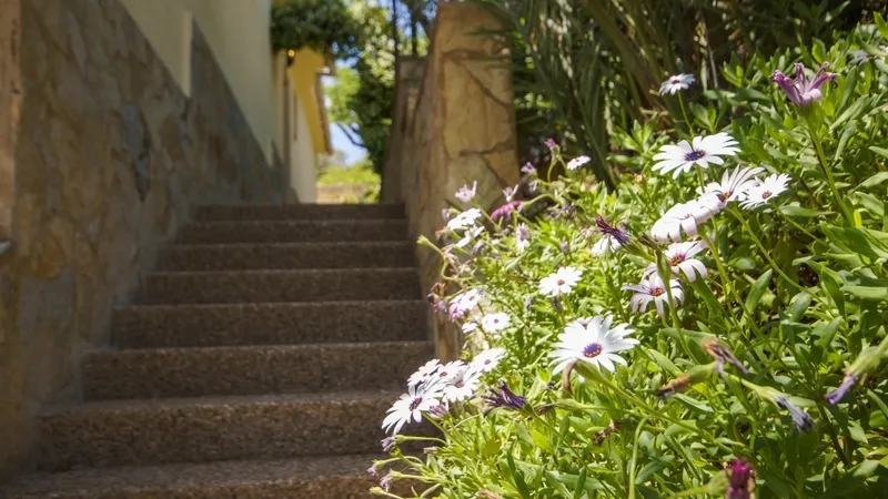 Villa in Mallorca - Garden details