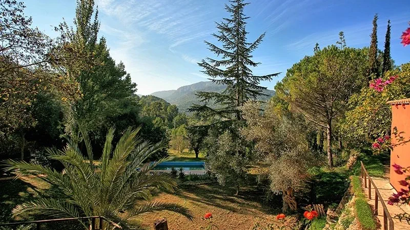 Finca in Esporles - TL104-1 (2)