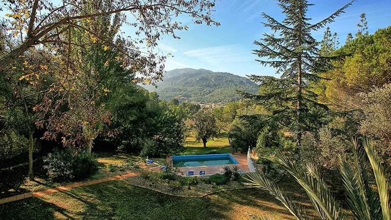 Finca in Esporles - TL104-1 (4)