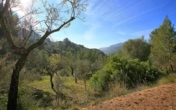 Finca in Esporles - TL104-1 (11)
